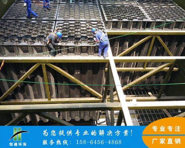 電除霧麻豆传媒视频在线